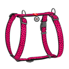 Шлея (ш. 15мм. 30-50см.) "Кавун" WauDog CoLLar