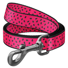Повідець (ш. 15мм. д. 122см.) "Кавун" Nylon WauDog CoLLar