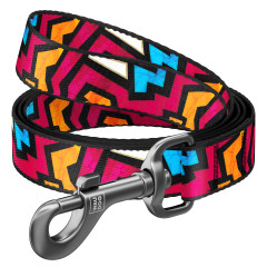 Повідець (ш. 20мм. д. 122см.) "Графіті" Nylon WauDog CoLLar