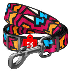 Повідець (ш. 25мм. д. 152-183см.) "Графіті" Nylon WauDog CoLLar