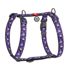 Шлея (ш. 25мм. 60-100см.) "Рік та Морті" Nylon WauDog CoLLar