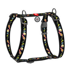 Шлея (ш. 20мм. 50-80см.) "Рік та Морті" Nylon WauDog CoLLar