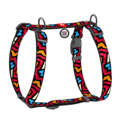 Шлея (ш. 25мм. 60-100см.) "Графіті" Nylon WauDog CoLLar