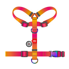 Шлея Recycled Nylon WauDog CoLLar