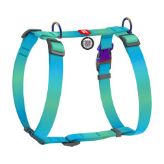 Шлея Recycled Nylon WauDog CoLLar
