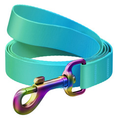 Повідець Recycled Nylon WauDog CoLLar