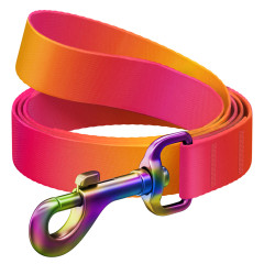 Повідець Recycled Nylon WauDog CoLLar