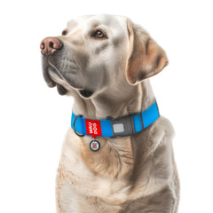 Нашийник для собак водостійкий пластикова пряжка-фастекс Waterproof WauDog CoLLar