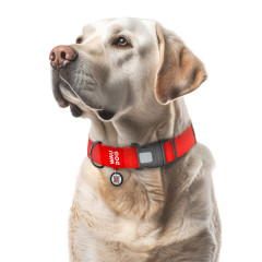 Нашийник для собак водостійкий пластикова пряжка-фастекс Waterproof WauDog CoLLar