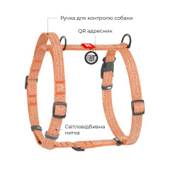 Шлея з ручкою з відновленої бавовни анатомічна Re-cotton WauDog CoLLar
