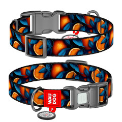 Нашийник нейлоновий "Апельсини" пластиковий фастекс Nylon WauDog CoLLar (old)