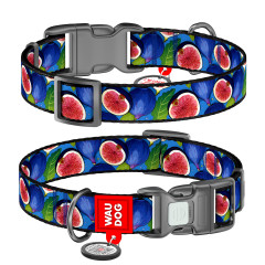Нашийник нейлоновий "Інжир" пластиковий фастекс Nylon WauDog CoLLar (old)