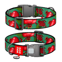 Нашийник нейлоновий "Гранати" пластиковий фастекс Nylon WauDog CoLLar (old)