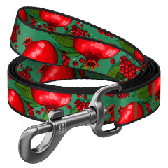 Повідець нейлоновий "Гранати" Nylon WauDog CoLLar (old)