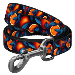 Повідець нейлоновий "Апельсини" Nylon WauDog CoLLar (old)