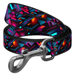 Повідець нейлоновий "Нескінченні світи" Nylon WauDog CoLLar (old)