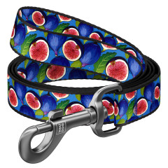 Повідець нейлоновий "Інжир" Nylon WauDog CoLLar (old)