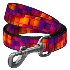 Повідець нейлоновий "Нескінченні світи" Nylon WauDog CoLLar (old)