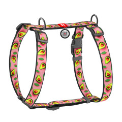 Шлея нейлоновий "Авокадо на рожевому" Н-подібна Nylon WauDog CoLLar (old)