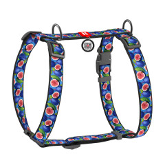Шлея нейлоновий "Інжир" Н-подібна Nylon WauDog CoLLar (old)