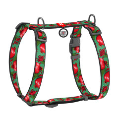 Шлея нейлоновий "Гранати" Н-подібна Nylon WauDog CoLLar (old)
