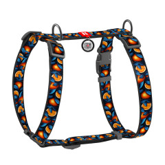 Шлея нейлонова "Апельсини" Н-подібна Nylon WauDog CoLLar (old)