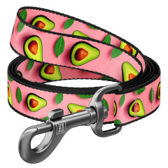 Повідець нейлоновий "Авокадо на рожевому" Nylon WauDog CoLLar (old)