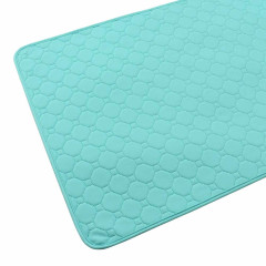 Пелюшка багаторазова м'ятна Training Pads Nobby