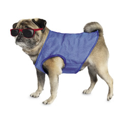 Жилетка охолоджуюча Cooling Nobby