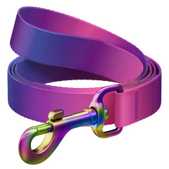 Повідець Recycled Nylon WauDog Collar