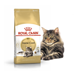 Сухий корм для котів Adult Maine Coon Feline Breed Nutrition Royal Canin