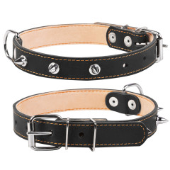 Нашийник подвійний з шипами(ш. 25мм. д.38-50см.) чорний CoLLar