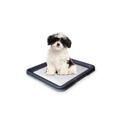 Туалет під пелюшку Nobby