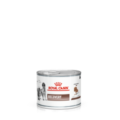 Ветеренарна дієта для собак та котів Recovery Veterinary Royal Canin