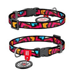 Нашийник "Графіті" пластиковий фастекс ш 10 мм  д 20-30 см Nylon WauDog CoLLar