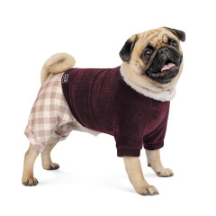 Костюм Spell Pet Fashion