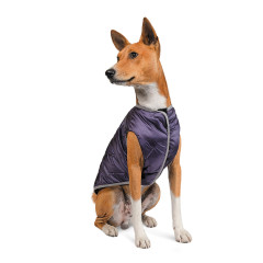 Жакет Calm Pet Fashion