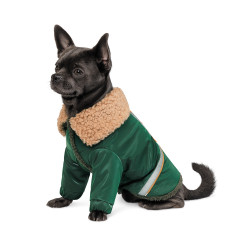 Костюм Joy Pet Fashion