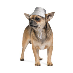 Шапка Party Pet Fashion