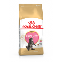 Сухий корм для кошенят Kitten Maine Coon Feline Breed Nutrition Royal Canin