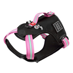 Шлея Nylon WauDog CoLLar