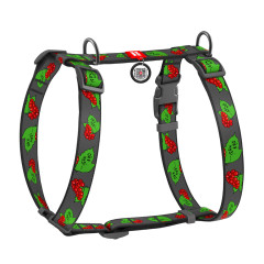 Шлея Калина Nylon WauDog CoLLar