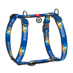 Шлея Прапор Nylon WauDog CoLLar
