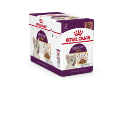 Вологий корм для котів Jelly Taste Sensory Feline Health Nutrition Royal Canin