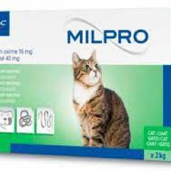 Засіб від глистів для котів вагою від 2 кг. 16 мг 1 Таб. Milpro Virbac