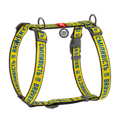 Шлея Сміливість Nylon WauDog CoLLar