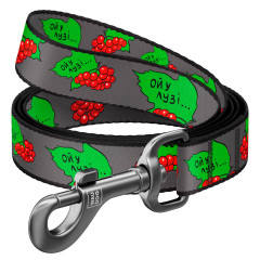Повідець Калина 122 Nylon WauDog CoLLar