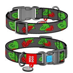 Нашийник Калина Nylon WauDog CoLLar