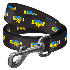 Повідець Дім Nylon WauDog CoLLar